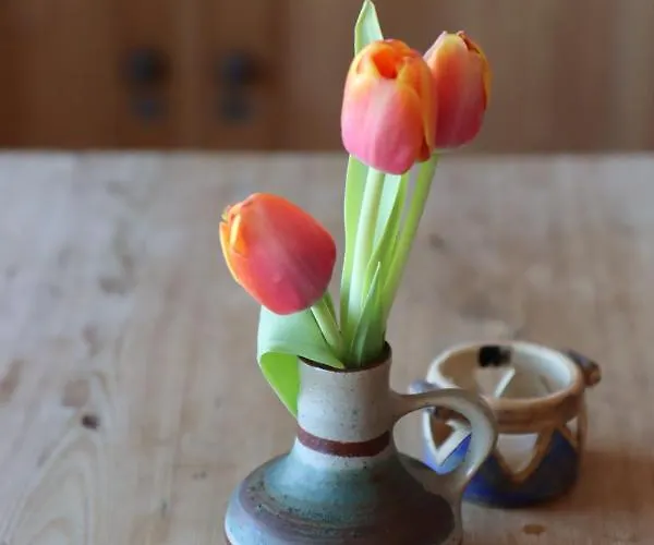 Am Westerntor 1 * Wernigerode